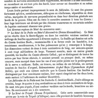 0611 - Page 607 - Sendivog (Michel) [L. Hahn] (bibliographie) / Séné / Botanique [G. Planchon]