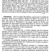 0622 - Page 618 - Senebier (Jean) [L. Hahn] (bibliographie) / Senebiera [G. Planchon]