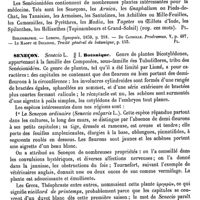 0623 - Page 619 - Senecas (Les). Voy. Amérique / Senécionidées [G. Planchon] (bibliographie) / Seneçon / Botanique [G. Planchon]
