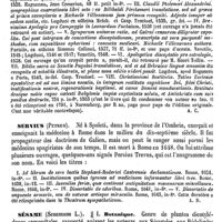 0438 - Page 434 - Servet (Michel) [A. Chéreau] (bibliographie) / Servius (Petrus) [A. Dureau] / Sésame / Botanique [H. Baillon]