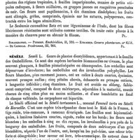 0440 - Page 436 - Sésame. Emploi [Amédée Dechambre] / Sesanqua ou Sasanqua [G. Planchon] / Sesban [G. Planchon] (bibliographie) / Séséli [G. Planchon]