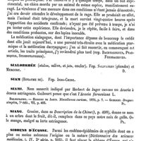 0526 - Page 522 - Sialagogue (Médication) [Fonssagrives] / Sialorrhée. Voy. Salivaires (glandes) et Mercure [Amédée Dechambre] / Siam (Royaume de). Voy. Indo-Chine / Siami [G. Planchon] (bibliographie) / Siang [G. Planchon] / Sibbens d'Écosse [J. Rollet]