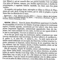 0624 - Page 620 - Sigwart (Les deux) [L. Hahn] (bibliographie) / Silaus [G. Planchon] / Silène [G. Planchon] / Silénées [G. Planchon]
