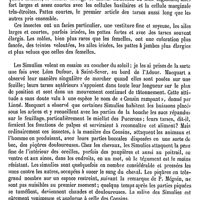 0740 - Page 736 - Simulie [A. Laboulbène]