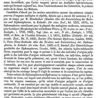 0784 - Page 780 - Siphonoma [Amédée Dechambre] / Siphonophores [Ed. Lefèvre]