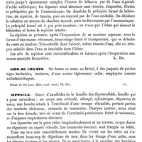 0787 - Page 783 - Siphonostomes [Ed. Lefèvre] / Sipirine ou Sépirine [L. Hahn] / Sipo de Champo [G. Planchon] / Siponcle [C. Davaine]