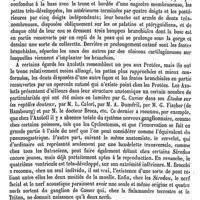 0790 - Page 786 - Sira Manghits [G. Planchon] (bibliographie) / Siredon [E. Oustalet]