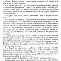 0031 - Page 27 - Sisymbre [G. Planchon] (bibliographie) / Sisyrinchium [G. Planchon]