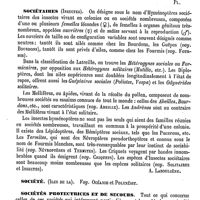0098 - Page 94 - Sobrarias (Juan) [L. Hahn] / Sobremonte-Ramirez (Gaspar-Bravo de). Voy. Bravo / Socchi [G. Planchon] / Sociétaires (Insectes) [A. Laboulbène] / Société (Iles de la). Voy. Océanie et Polynésie / Sociétés protectrices et de secours [Amédée Dechambre] / Société protectrice de l'enfance. Voy. Enfance / Société de secours aux blessés et Convention de Genève. Voy. Militaire (Service de santé)