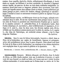 0250 - Page 246 - Soléaire (Muscle). Voy. Jumeaux / Soleil [G. Planchon] / Solen [Ed. Lefèvre] / Solena [G. Planchon] (bibliographie) / Solenander (Reinert) [L. Hahn] / Solénoconques ou Scaphopodes [Ed. Lefèvre]