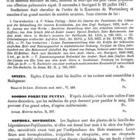0445 - Page 441 - Sontheimer (Joseph von) [L. Hahn] (bibliographie) / Sonzes [G. Planchon] / Soodoo Porrutie Puttay [G. Planchon] / Sophora, Sophorées [H. Baillon]