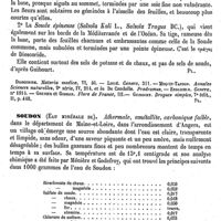 0542 - Page 538 - Soude (Botanique) [G. Planchon] (bibliographie) / Soudon (Eau minérale de) [A. Rotureau]