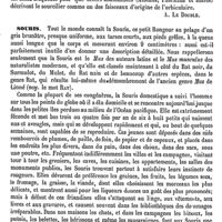 0670 - Page 666 - Sourcilier [A. Le Double] / Souris [E. Oustalet]