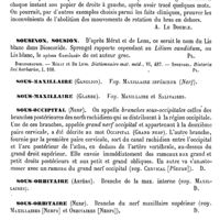 0717 - Page 713 - Sous-épineux [A. Le Double] / Sousinon, Sousion [G. Planchon] (bibliographie) / Sous-maxillaire (Ganglion). Voy. Maxillaire inférieur (Nerf) / Sous-maxillaire (Glande). Voy. Maxillaire (Glande) et Salivaires (Glandes) / Sous-occipital (Nerf) [Amédée Dechambre] / Sous-orbitaire (Artère) [Amédée Dechambre] / Sous-orbitaire (Nerf) [Amédée Dechambre] / Sous-périostée (Méthode) [Amédée Dechambre] / Sous-scapulaire [A. Le Double]