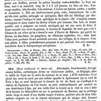 0728 - Page 724 - Soymida [H. Baillon] (bibliographie) / Spa (Eaux minérales et boues de) [A. Rotureau]