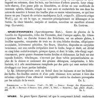 0745 - Page 741 - Sparadraps [E. Burcker] / Sparasse. Voy. Araignée / Sparassis [Ed. Lefèvre] / Sparattosperma [Ed. Lefèvre] (bibliographie) / Spare [E. Oustalet] / Sparganium ou Sparganion [G. Planchon]