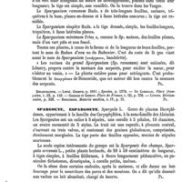 0746 - Page 742 - Sparganium ou Sparganion [G. Planchon] (bibliographie) / Spargoute, Espargoute [G. Planchon] / Sparks (Edwards-Isaac) [L. Hahn]