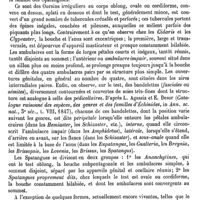 0799 - Page 795 - Spasmes traumatiques [C. Zuber] (bibliographie) / Spatangidés. Voy. Spatangue / Spatangue [Ed. Lefèvre]