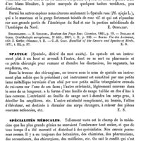 0801 - Page 797 - Spatule (Zoologie) [E. Oustalet] (bibliographie) / Spatule (Chirurgie) [E. Spillmann] / Spécialités médicales [A. Chéreau]