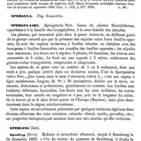 0071 - Page 67 - Speranza (Carlo) [L. Hahn] (bibliographie) / Spergula. Voy. Spargoute / Spergulaire [G. Planchon] / Sperling (Les) [L. Hahn]