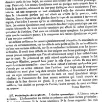 0086 - Page 82 - Spermatiques (Voies). Anatomie [Daniel Mollière] / Pathologie chirurgicale / Cordon spermatique [Daniel Mollière]