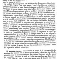 0102 - Page 98 - Spermatiques (Voies). Pathologie chirurgicale. Cordon spermatique [Daniel Mollière] / Vésicules séminales [Daniel Mollière]