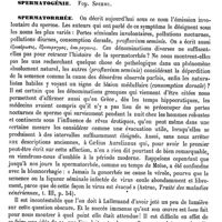 0105 - Page 101 - Spermatiques (Voies). Pathologie chirurgicale. Vésicules séminales [Daniel Mollière] / Médecine légale. Voy. Impuissance et Stérilité / Spermatogénie. Voy. Sperme / Spermatorrhée [Daniel Mollière]
