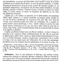 0199 - Page 195 - Sphaeralcea [G. Planchon] (bibliographie) / Sphaeranthus [G. Planchon] / Sphargis [E. Oustalet]