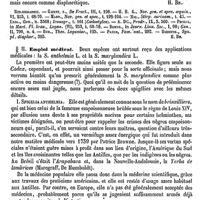 0224 - Page 220 - Spigélie. Botanique [H. Baillon] (bibliographie) / Emploi médical [Ernest Labbée]