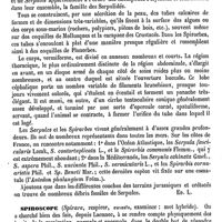 0312 - Page 308 - Spiroptère [Ed. Lefèvre] / Spirorbes [Ed. Lefèvre] / Spiroscope [Amédée Dechambre]