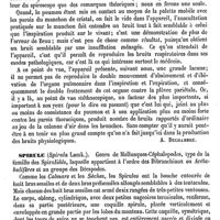 0314 - Page 310 - Spiroscope [Amédée Dechambre] / Spirule [Ed. Lefèvre]