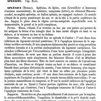 0330 - Page 326 - Splanchniques (Grand et petit nerfs). Voy. Sympathique / Splénique (Plexus). Voy. Sympathique (Grand) / Spléniques (Vaisseaux) [Amédée Dechambre] / Splénite. Voy. Rate / Splénius (Muscle) [J. Aubry]