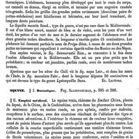 0428 - Page 424 - Squelette [G. Carlet] / Squille [Ed. Lefèvre] / Squine / Botanique. Voy. Salsepareille / Emploi médical [Amédée Dechambre]