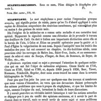 0450 - Page 446 - Staphylea (L.) [H. Baillon] (bibliographie) / Staphylinus [G. Planchon] / Staphylodendron [G. Planchon] / Staphylome [A. Gayet]