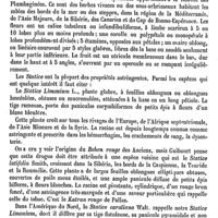 0524 - Page 520 - Stark (Les) [L. Hahn] (bibliographie) / Statice [G. Planchon]