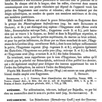 0692 - Page 688 - Sténocéphale [E. Oustalet] (bibliographie) / Sténode [Amédée Dechambre] / Sténoderme [E. Oustalet]