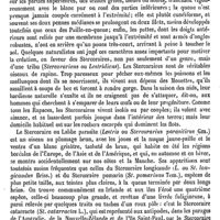0700 - Page 696 - Stercoraire [E. Oustalet] (bibliographie)