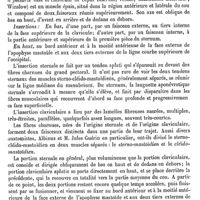 0779 - Page 775 - Sterno-cléido-hyoïdien [A. Le Double] / Sterno-cléido-mastoïdien [A. Le Double]