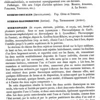0785 - Page 781 - Sterno-cléido-mastoïdien [A. Le Double] / Sterno-costales (Articulations). Voy. Côtes et Sternum / Sterno-mastoidienne (Artère). Voy. Thyroidienne (Artère) / Sternopages [O. Larcher]