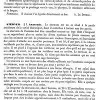 0007 - Page 3 - Sterno-thyroïdien [A. Le Double] / Sternum / Anatomie [Servier]