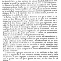 0011 - Page 7 - Sternum. Anatomie [Servier] / Physiologie [Servier]