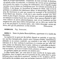 0135 - Page 131 - Stimulisme et Contro-stimulisme [Fonssagrives] / Stimulus. Voy. Stimulisme / Stipa [G. Planchon]