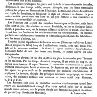 0221 - Page 217 - Stomatoscope [A. Dechambre] / Stomencéphales. Voy. Cyclopes / Stomoxes [A. Laboulbène] / Stones (Les) [L. Hahn]