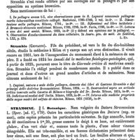0310 - Page 306 - Strambio (Les deux) [L. Hahn] (bibliographie) / Stramoine / Botanique [H. Baillon]