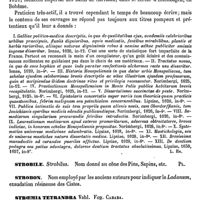 0371 - Page 367 - Striés (Corps). Voy. Corps opto-striés / Striés (Muscles). Voy. Musculaire (Tissu) / Striges. Voy. Stryges / Strobelberger (Johann-Stephan) [L. Hahn] (bibliographie) / Strobile [G. Planchon] / Strobon [G. Planchon] / Stroemia tetrandra Vahl. Voy. Cadaba / Strom (Christian) [A. Dureau]