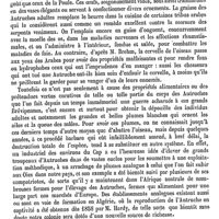 0390 - Page 386 - Struthionidés [E. Oustalet] (bibliographie)