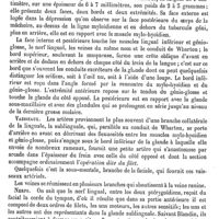 0505 - Page 501 - Sublingual (Ganglion). Voy. Maxillaires (Nerfs) / Sublinguale (Glande) [J. Aubry]