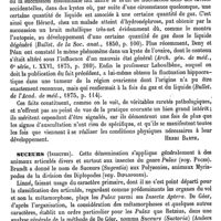 0619 - Page 615 - Succussion [Henri Barth] / Suceurs (Insectes) [A. Laboulbène]