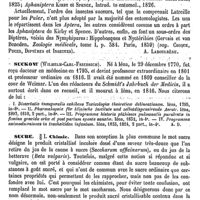0620 - Page 616 - Suceurs (Insectes) [A. Laboulbène] / Suckow (Wilhelm-Carl-Friedrich) [A. Dureau] (bibliographie) / Sucre / Chimie [Malaguti]
