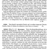 0432 - Page 428 - Sullivan (John) [L. Hahn] / Suma [G. Planchon] / Sumac / Botanique [Ed. Lefèvre]